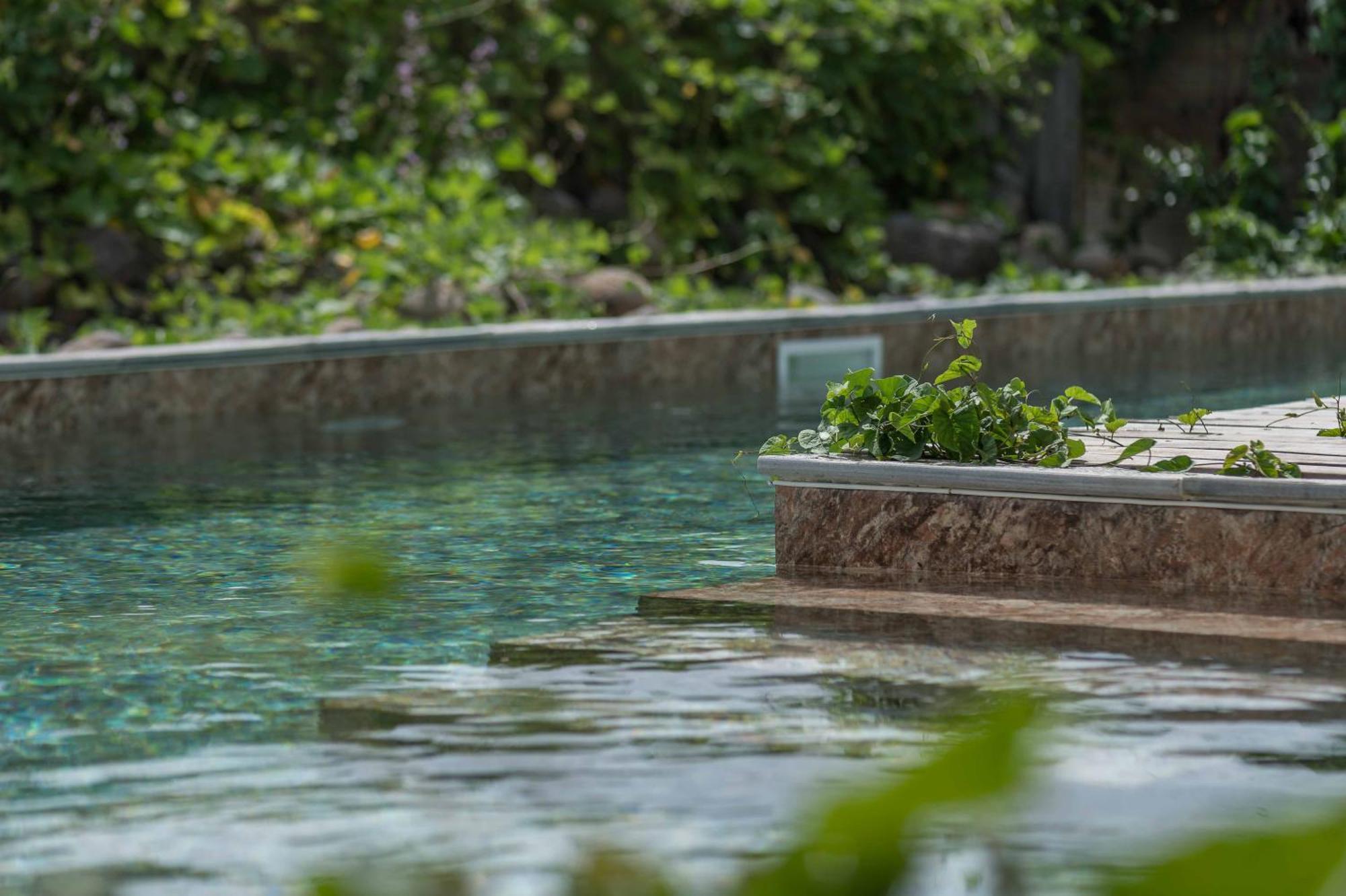 T2 Moderne Avec Piscine Oasis De Nature Et Serenite Petit-Canal Zewnętrze zdjęcie